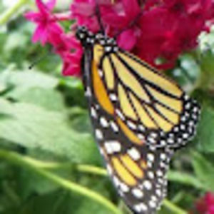 Meet your Posher, Keri